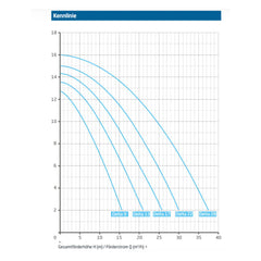 Speck BADU Delta Poolpumpe